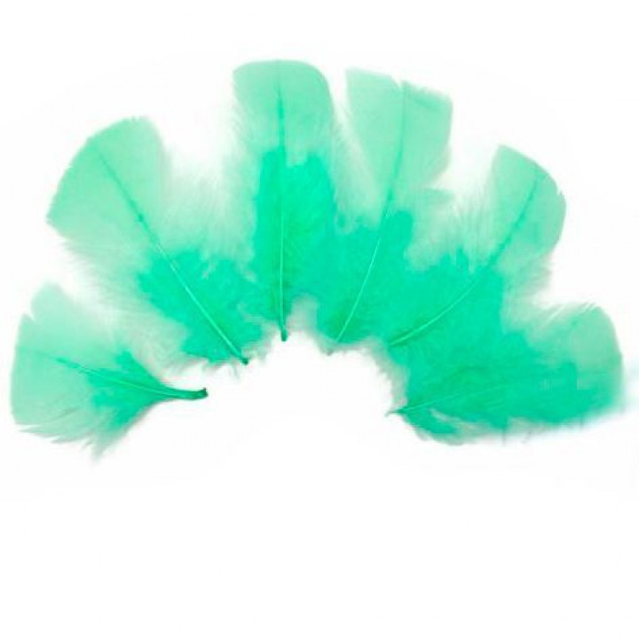 Перья Мятные 8-12 см